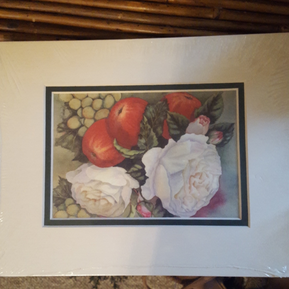 Pretty floral and apple print with matting